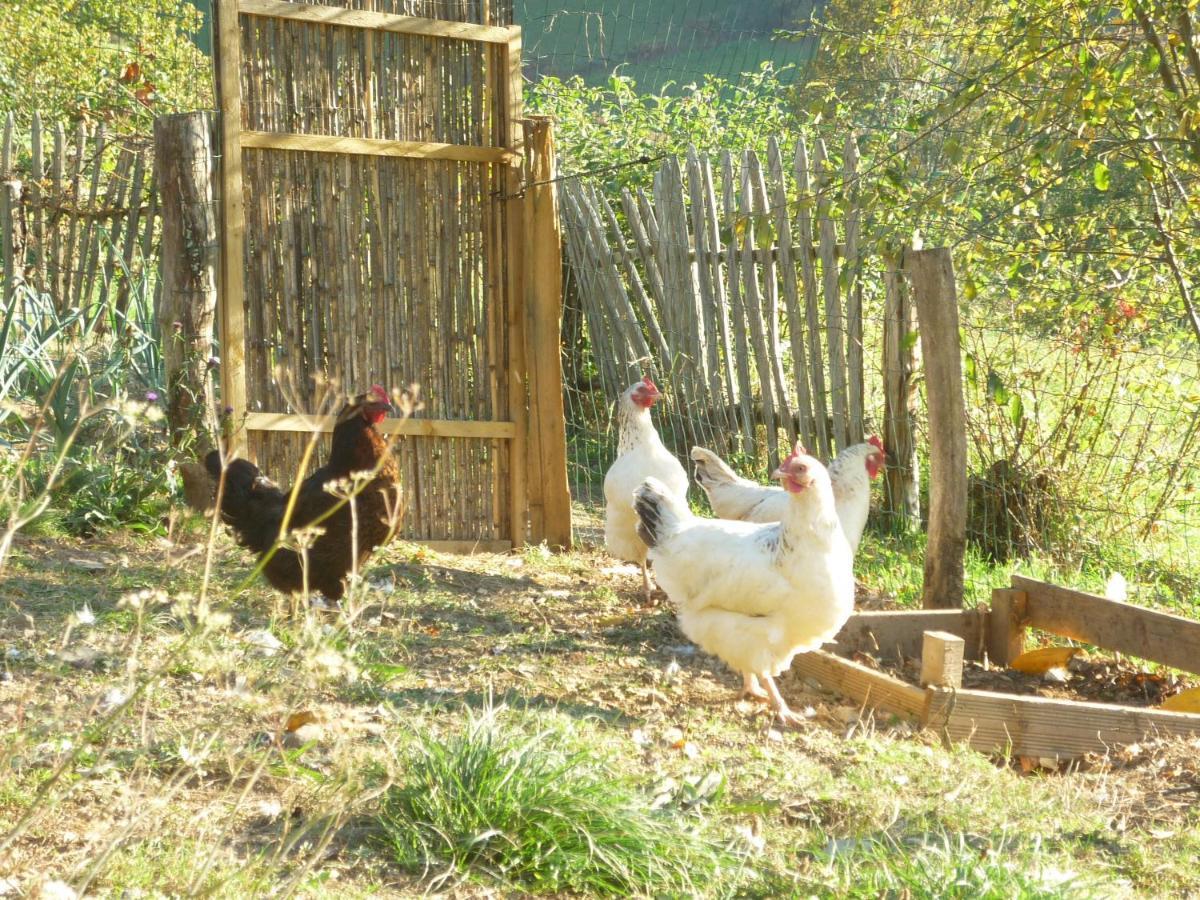 Les Granges De La Hulotte, La Hulotte Villa Lies Buitenkant foto